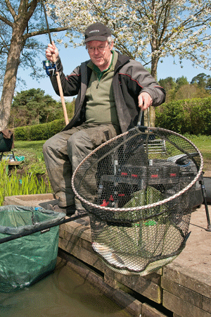 Bream in the net