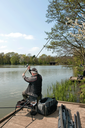 Method Feeder Fishing 10 Top Tips To Get More From The Method