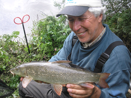 martin-barbel