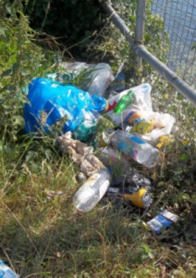 Whoever took this with them to the waterside can bl**dy well take it home again!
