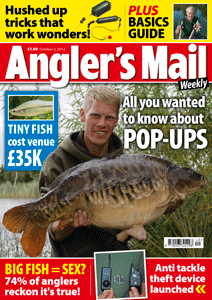 AMCOVEROCT2