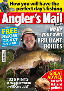 AMCOVEROCT23