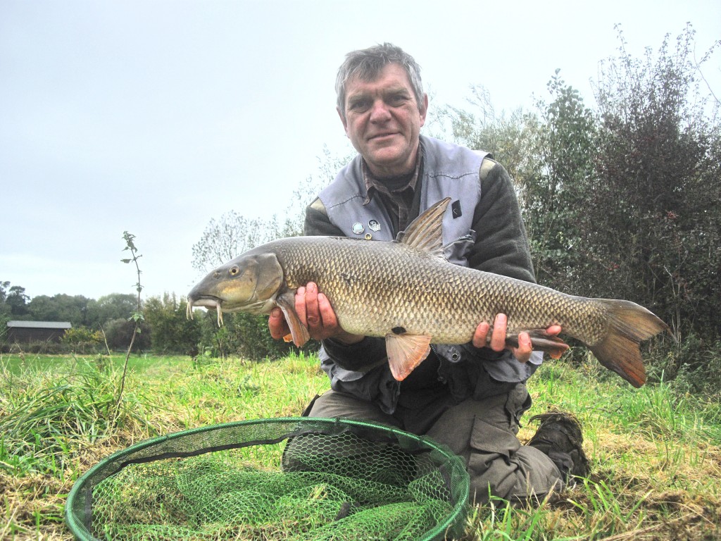 barbel