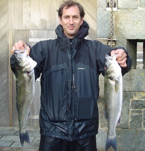 Lloydbass