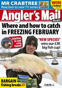 AMCOVERJAN29