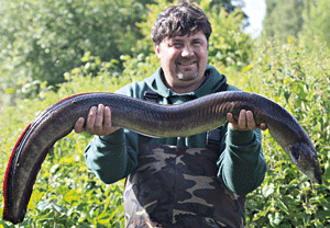 "British record eel" won't be claimed - Angler's Mail