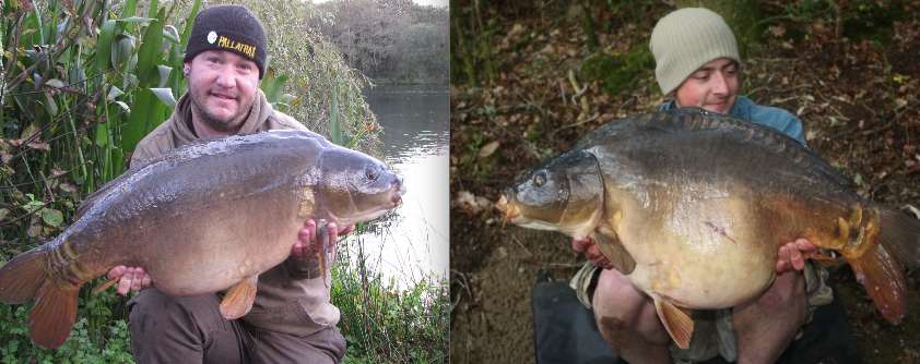 pallatraxcarp