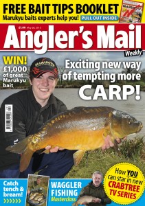 AMCOVERMAY28