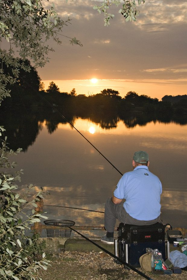 New Forest sunset-2