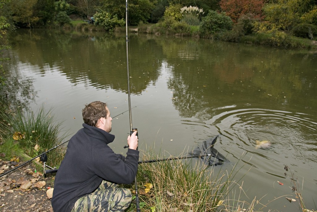 How to catch more carp in September and October Angler's Mail