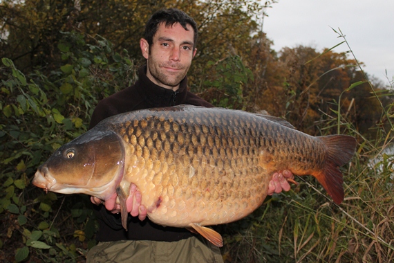 A huge 45lb common of the new Red-Amo