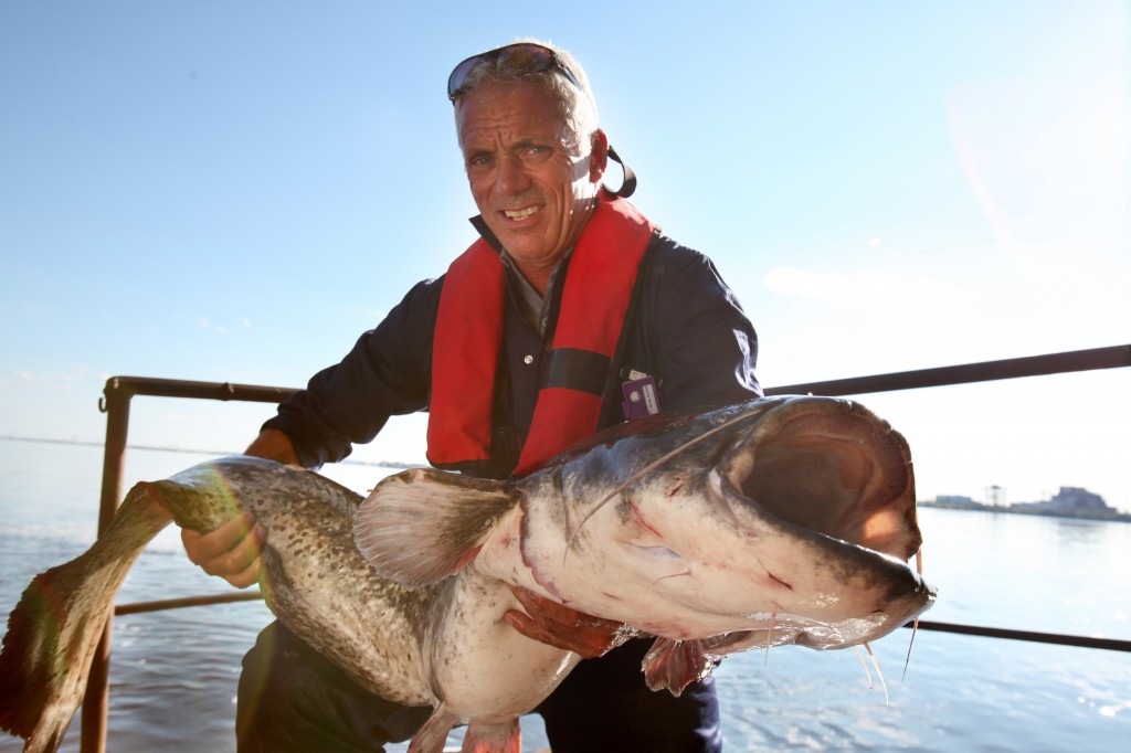 This wels catfish proves that life exists at Chernobyl as Jeremy Wade tackles it for the cameras.