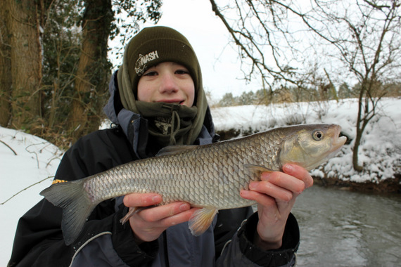 Alex's snow chub