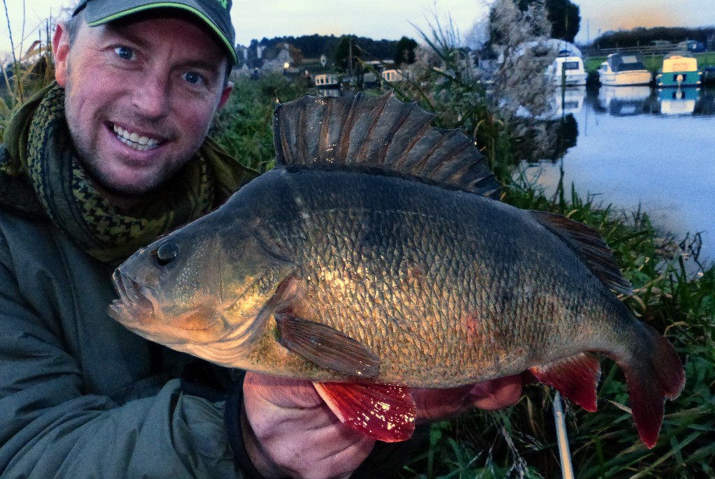 My typical fishing week often includes a bit of perch fishing...