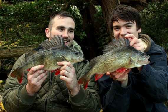 The end of the year marked some great river perch catches