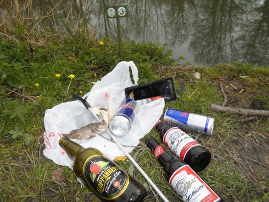 Some of the sorry haul in one swim, before being bagged - and binned by this week's AM HQ blogger.