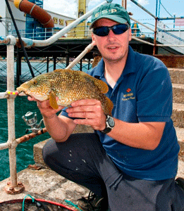 I love catching carp, but like most aspects of Uk fishing like nabbing this lovely ballan wrasse on a feeder rod.