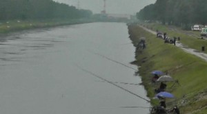 The rain lashed venue - a channel that's an offcut of the Drava River and ultimately the Danube. Anglers here are getting some final practise.