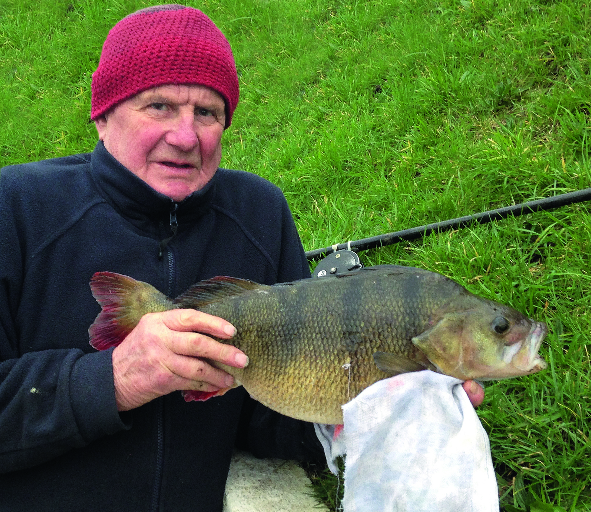 This perch is the most recent addition to the perch top 50 list. It was reported exclusively in Angler's Mail magazine, was caught an an angler who only wished to be known as 'Bill', and fell from the Thaames. The full story stunned anglers, but very few people disputed the fish's immense size.