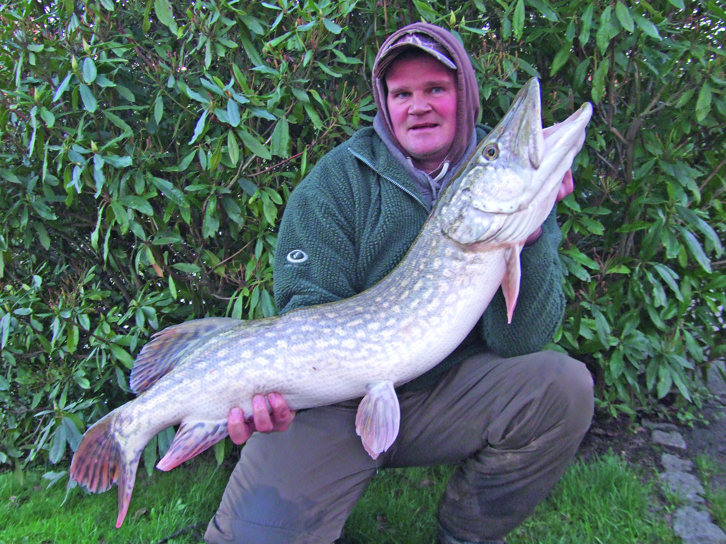 Adam Honeysett landed this 20lb 2oz pike on River Medway, Kent.