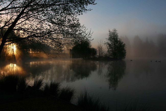 Mill Farm Fishery, one of my favourite places.