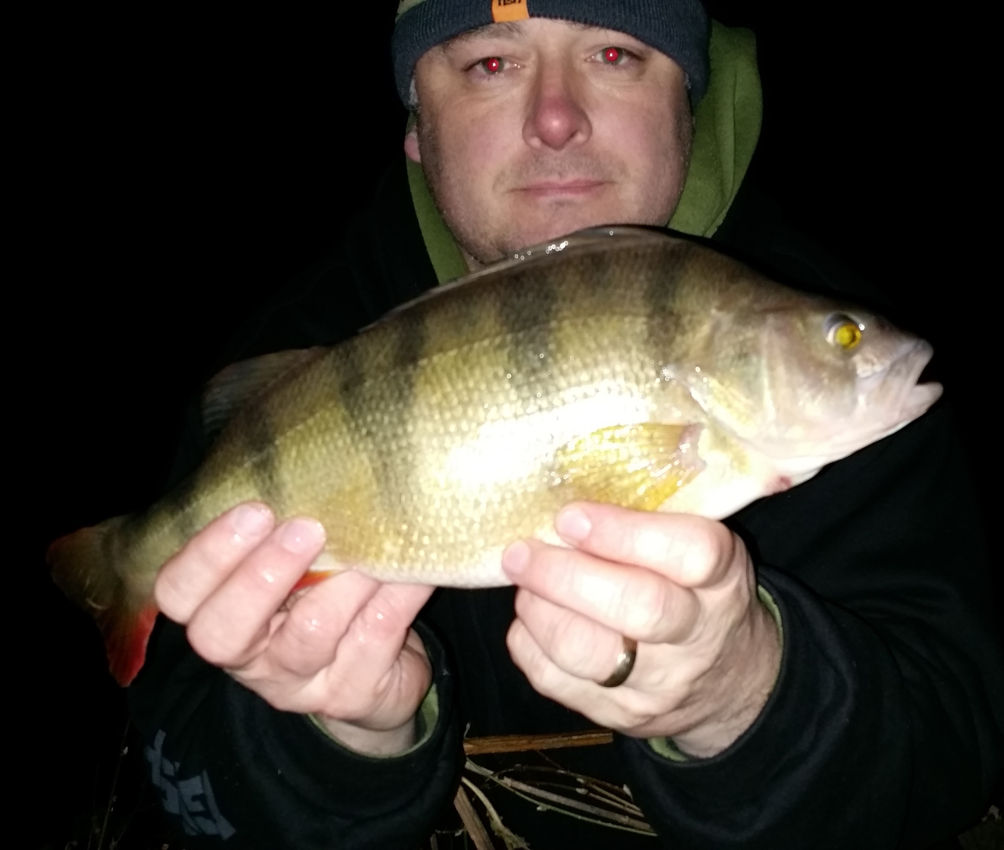 perch2.8