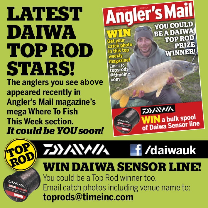 Latest Daiwa Stars __WEB