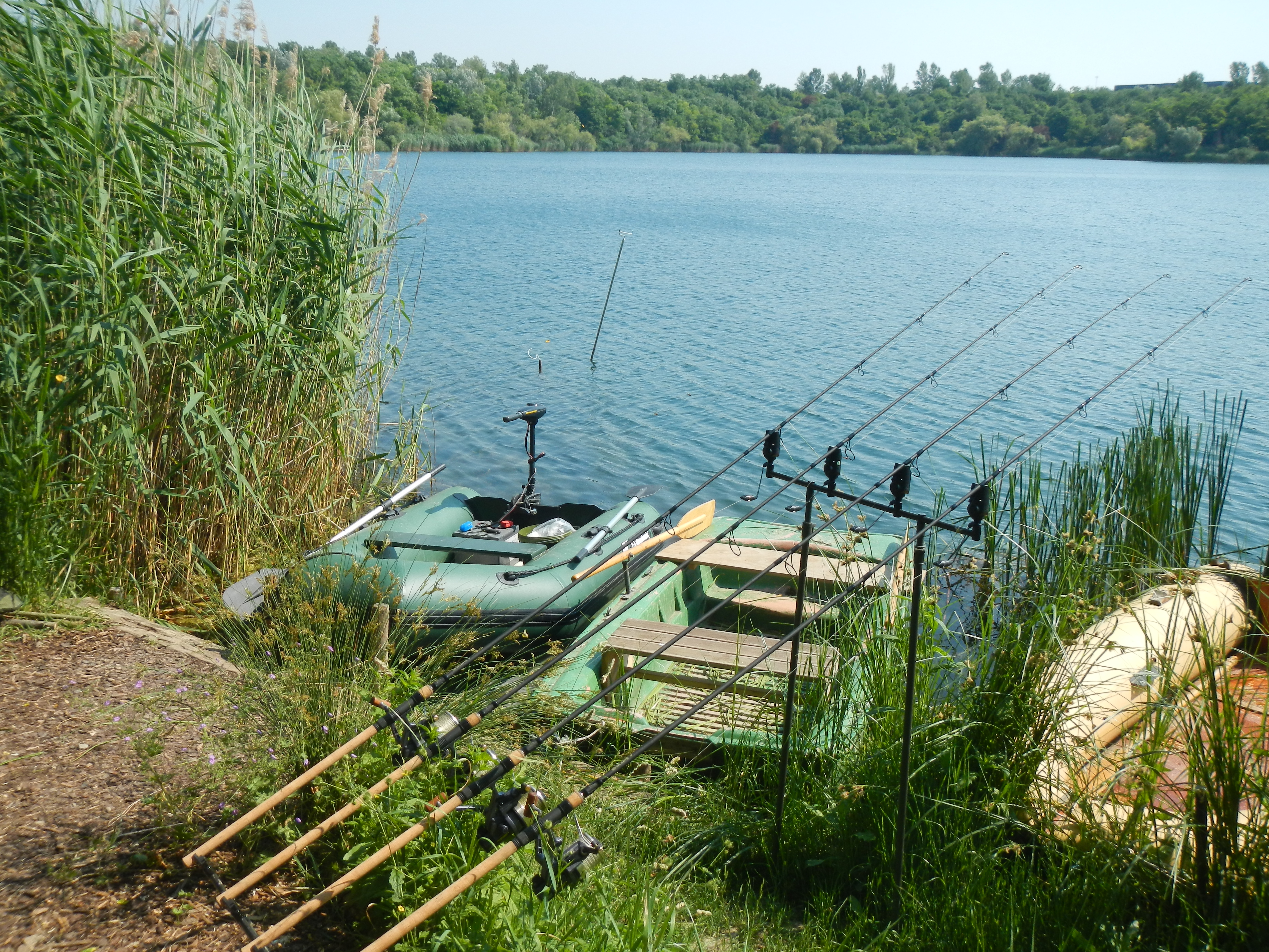 Your own swim for a year