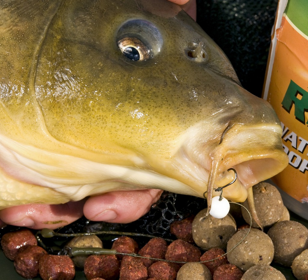 10 best winter fishing baits