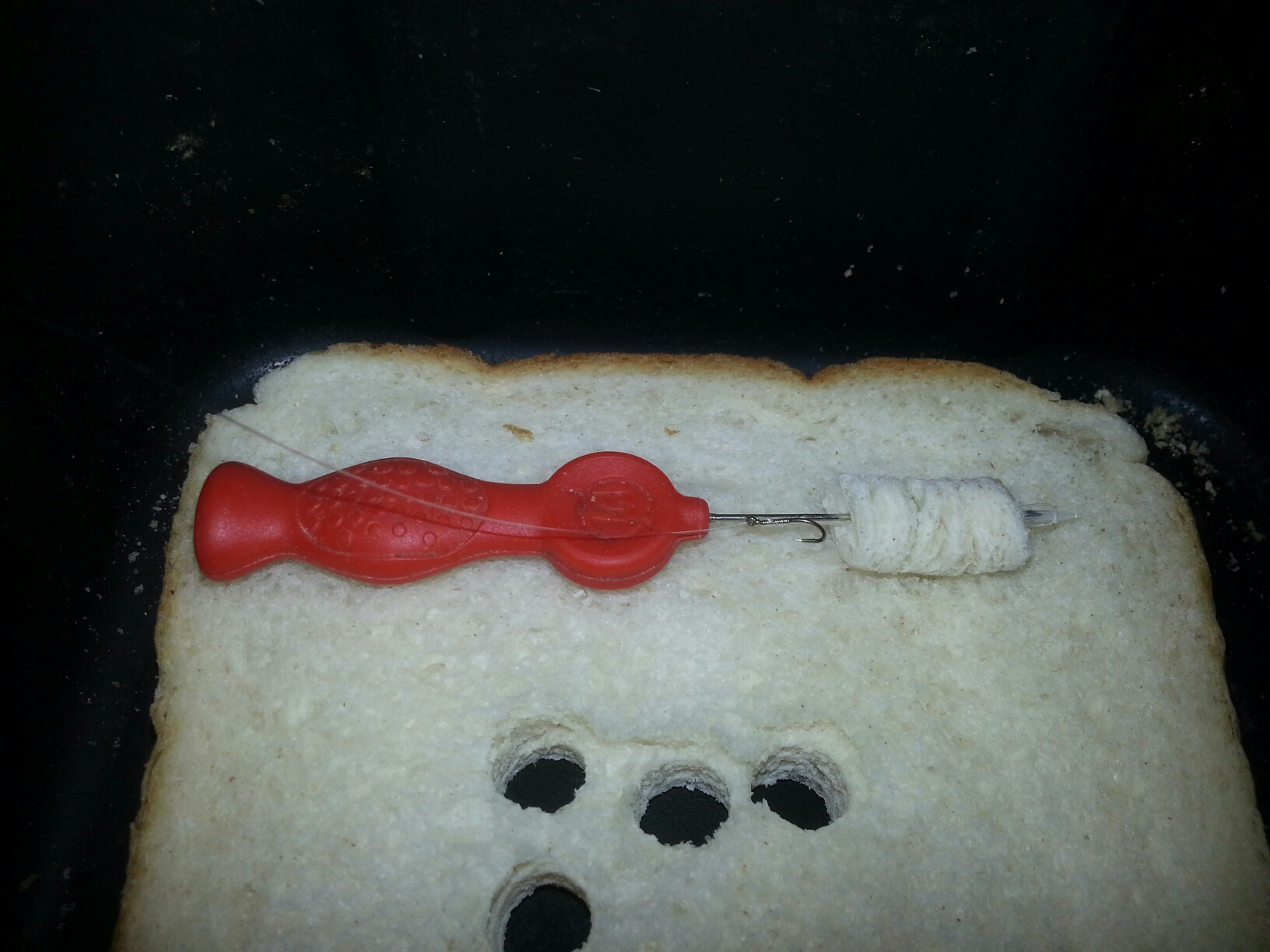 Bread bait tips for coldwater carp success