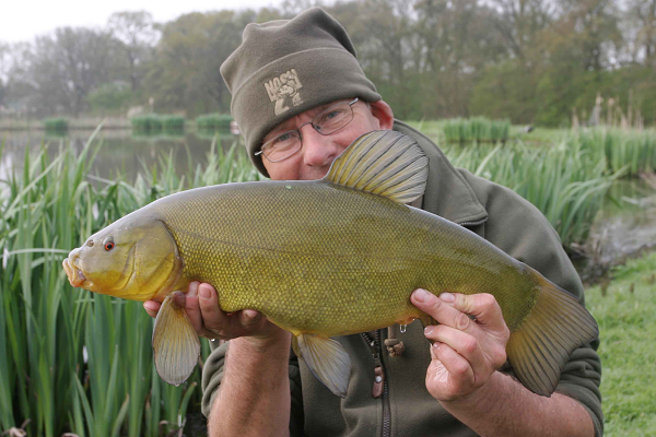 The tench kept us busy and were all mint
