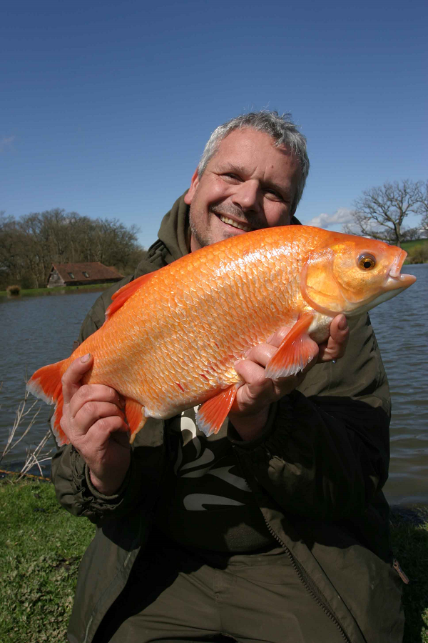 It didn’t matter what the weather did, the orfe always turned up.