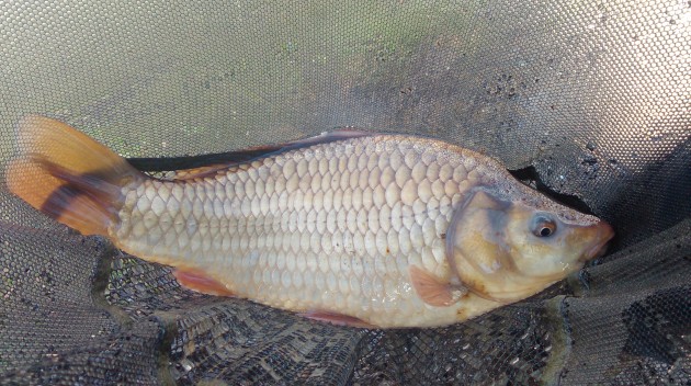 IMAG0824