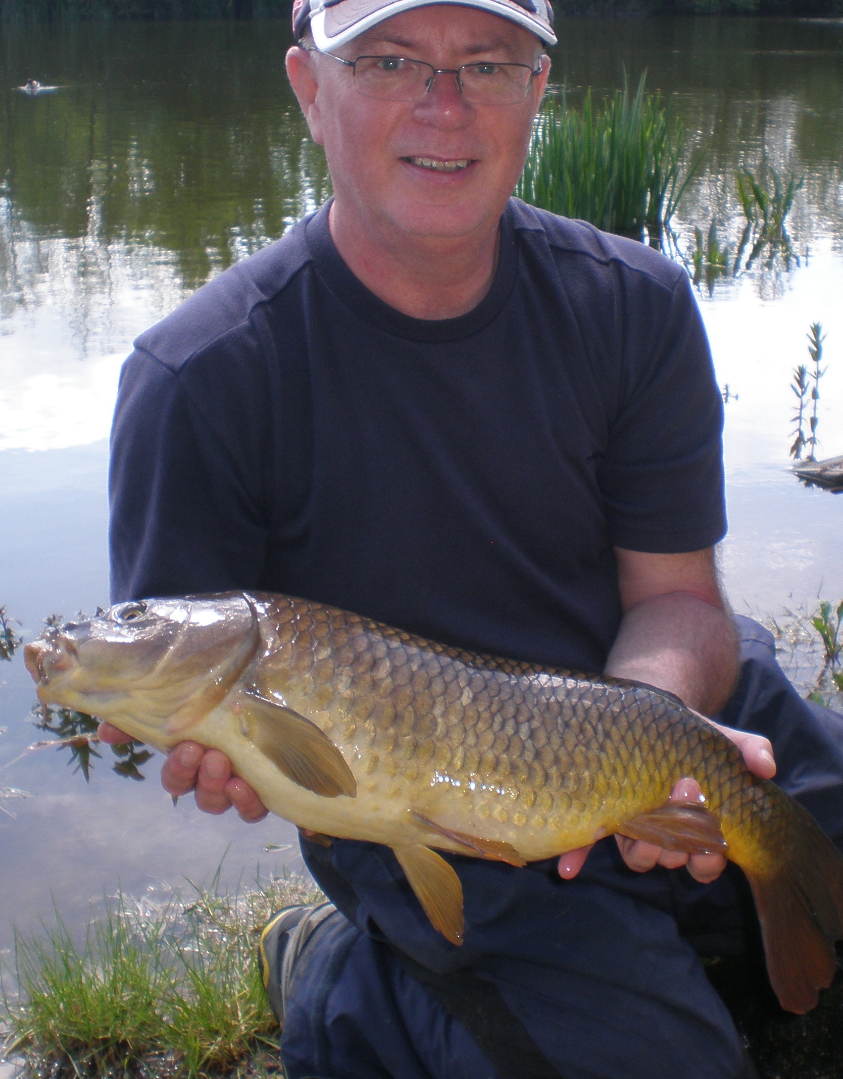 I've been catching shallow carp for fun!