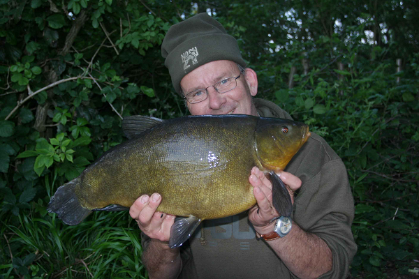 crucian