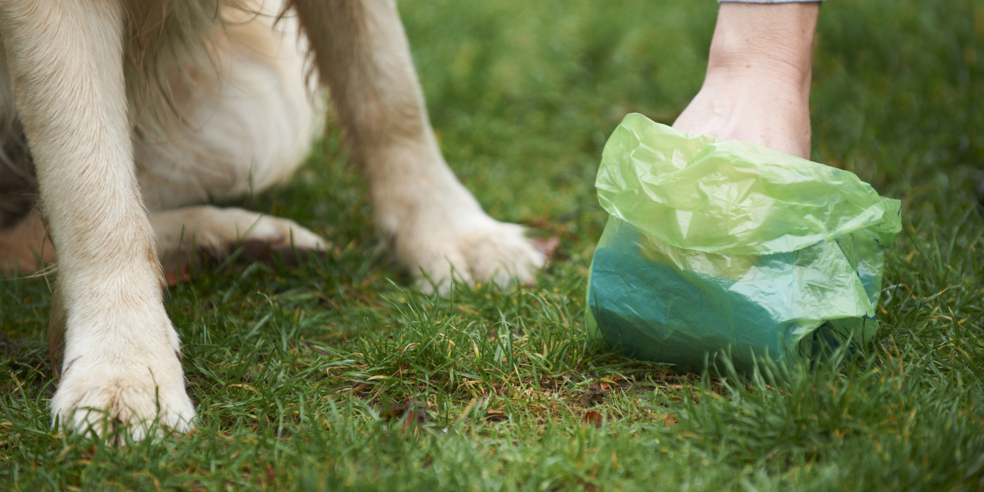 Bagging up with dog poo is not really my idea of bagging up, but....!