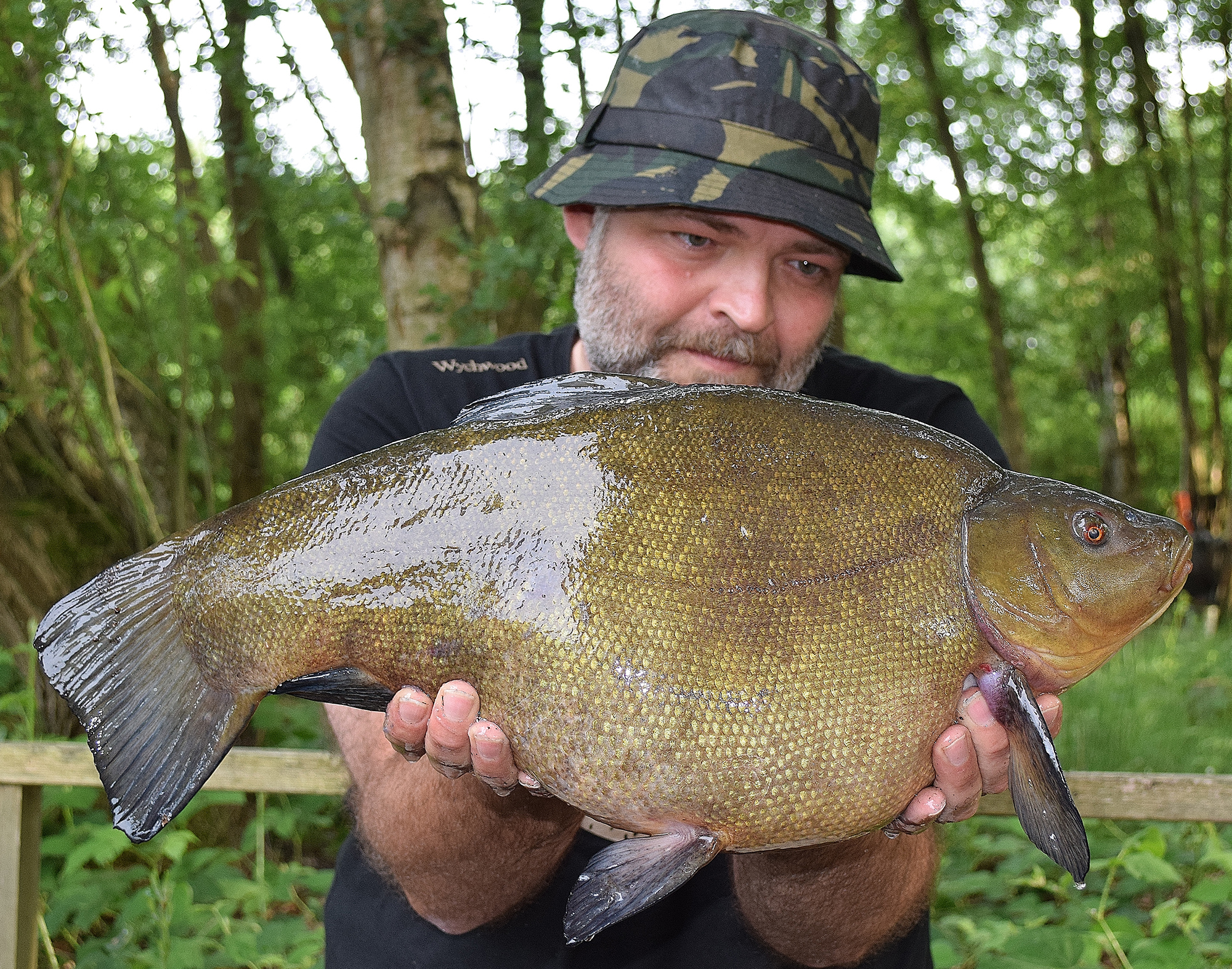 Big Rigs For Sale >> Biggest tench of the year - Angler's Mail Big Rigs For Sale >> Biggest tench of the year - Angler's Mail
