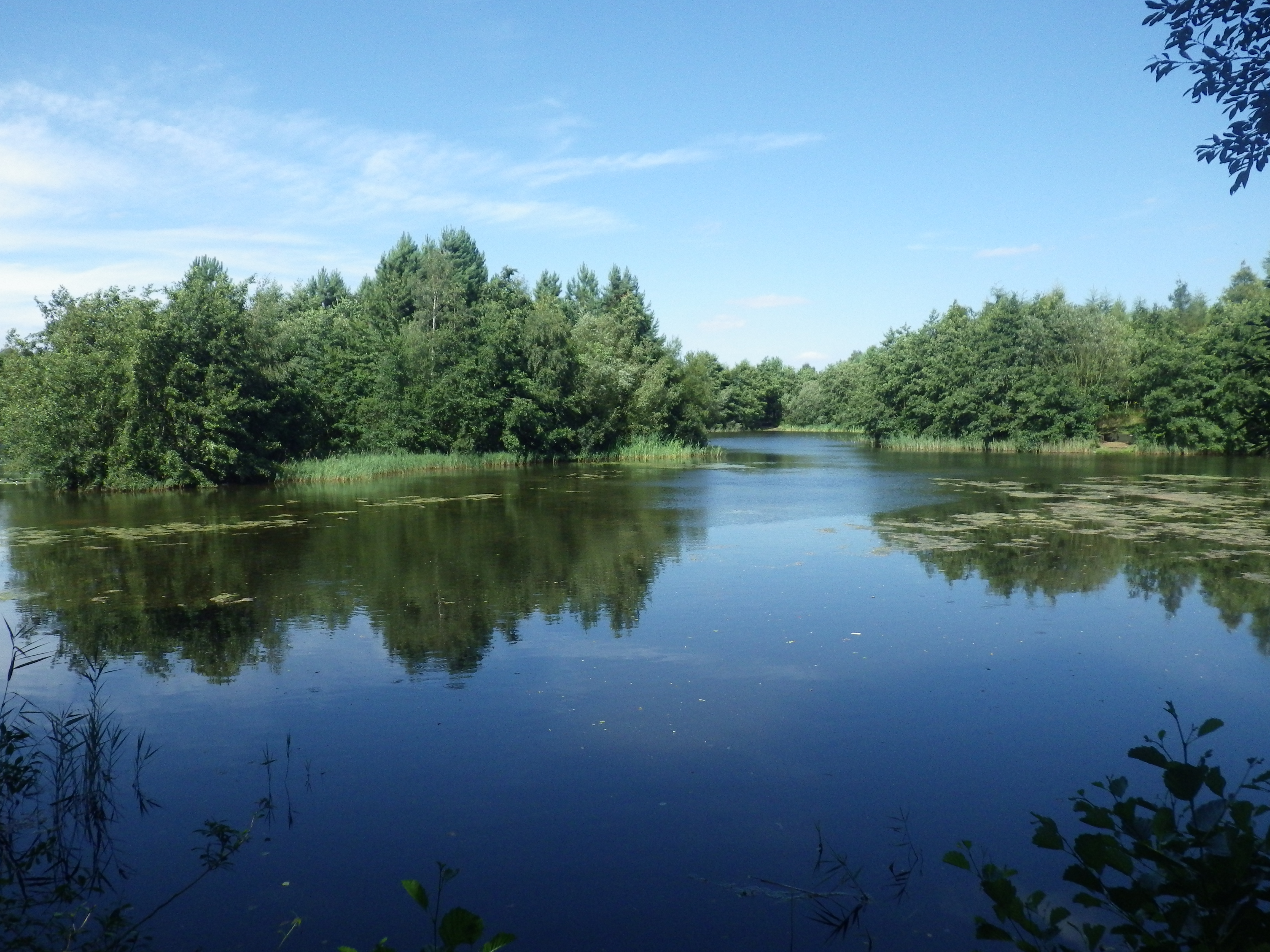 So much to go for but some swims will be better than others for a multiple catch