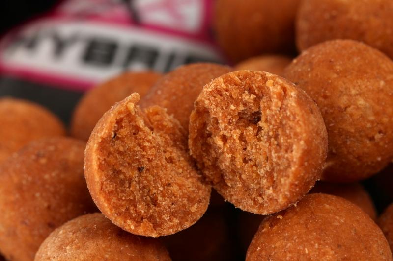 Robby's stunning catch, which could yet become recognised as the British record carp, was caught on Mainline Hybrid boilies.