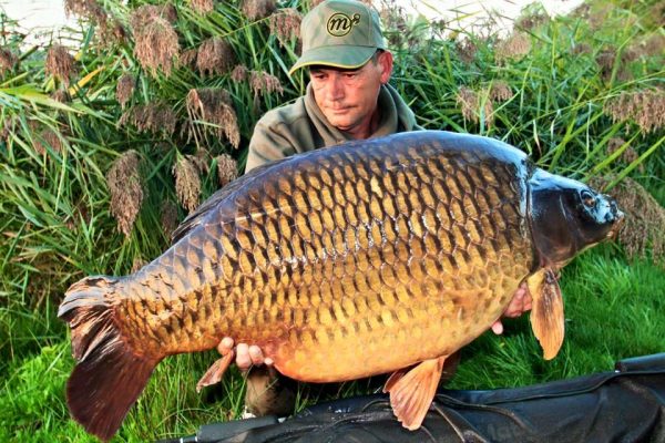 young carp california fishing planet