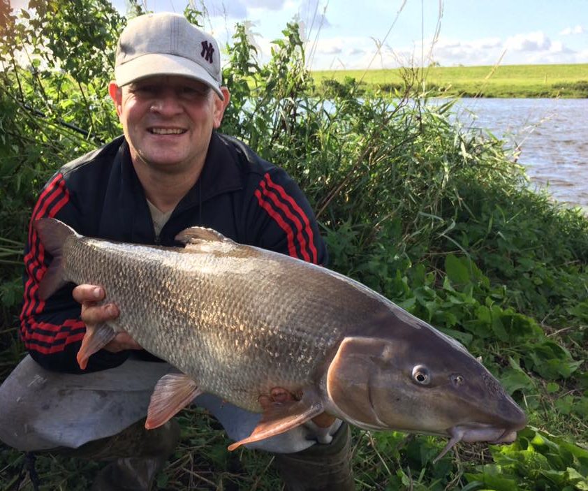 Nonstop giant barbel caught from inform River Trent