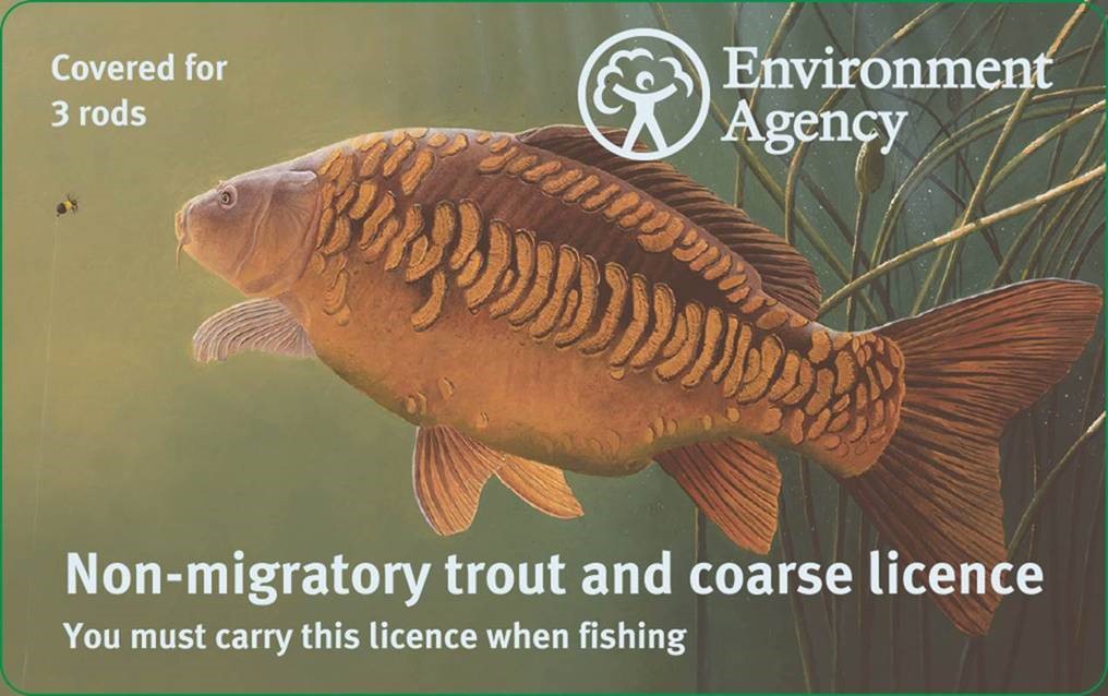 Rod licence sales reveal major rises and falls full details here