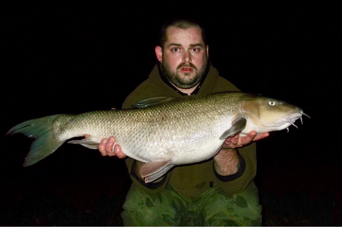 Giant River Thames barbel after return to a favourite spot