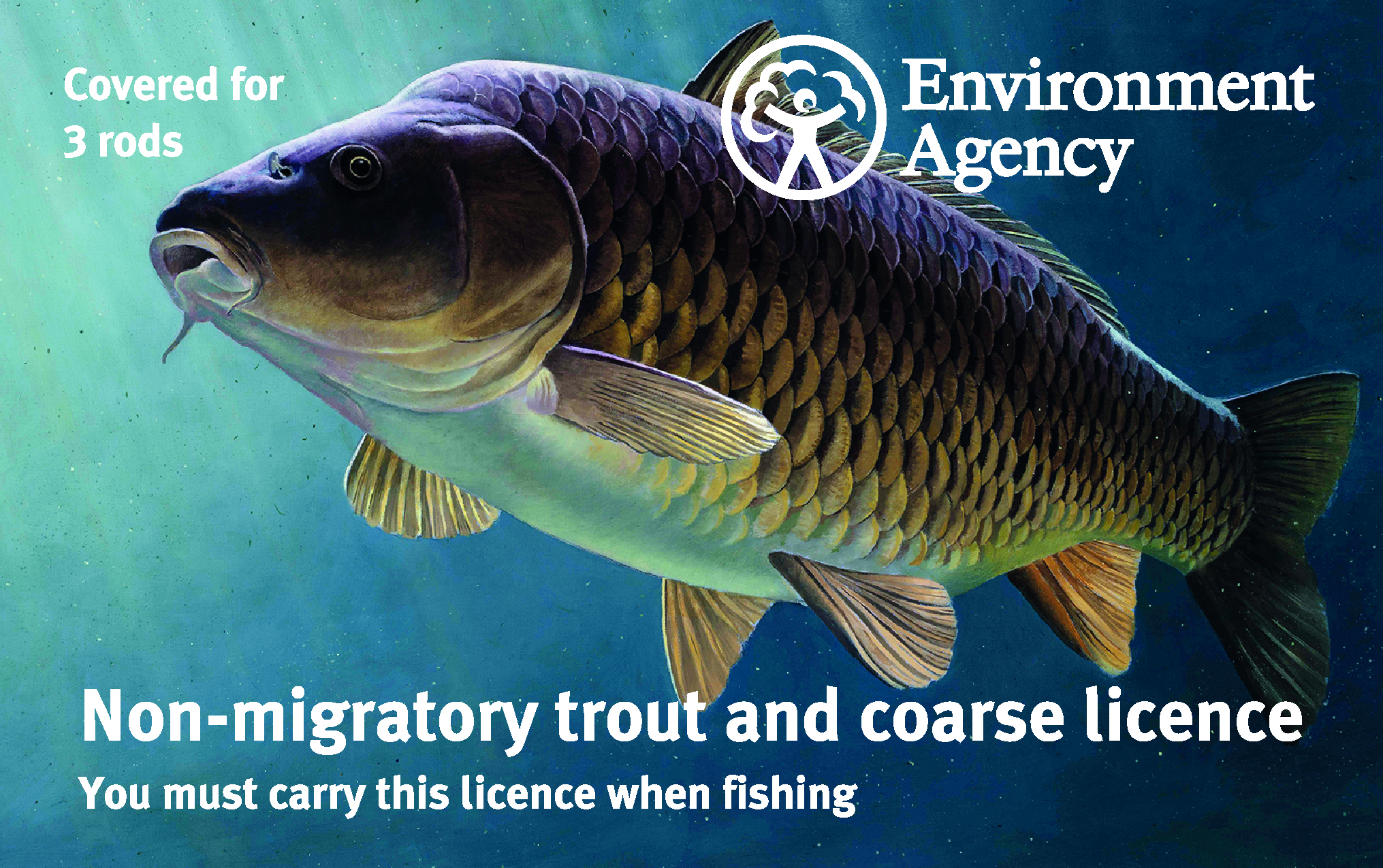 Fishing rod licences revealed by Environment Agency for 2019/20