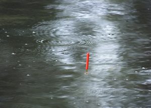 Understand fish bubbles and you’ll catch more fish.