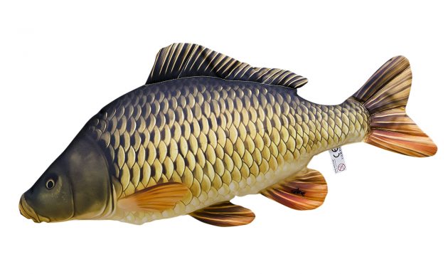 Review Gaby Fish Pillows Angler S Mail