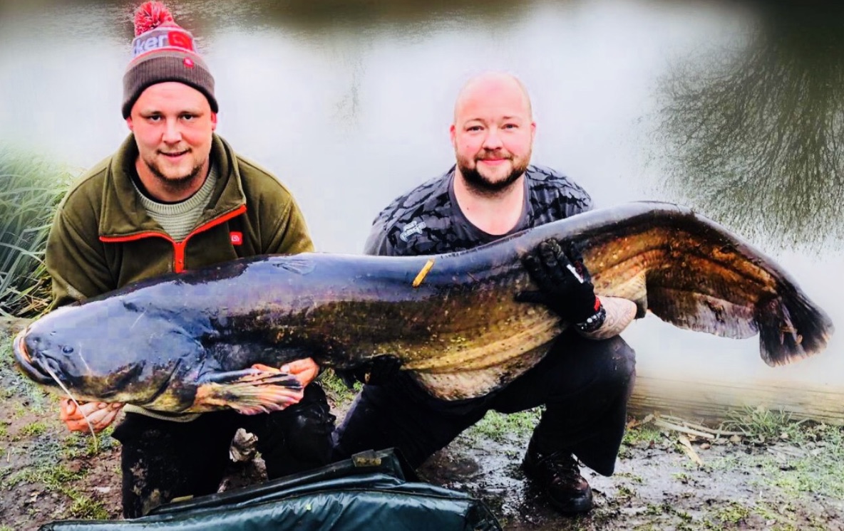 Britain’s heaviest freshwater fish this 145pounder!