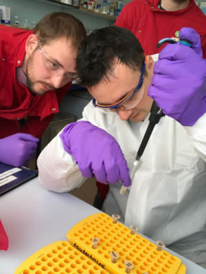 DNA testing of fish is being stepped up in England.