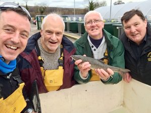 Just one of the many stock fish produced at Calverton Fish Farm.