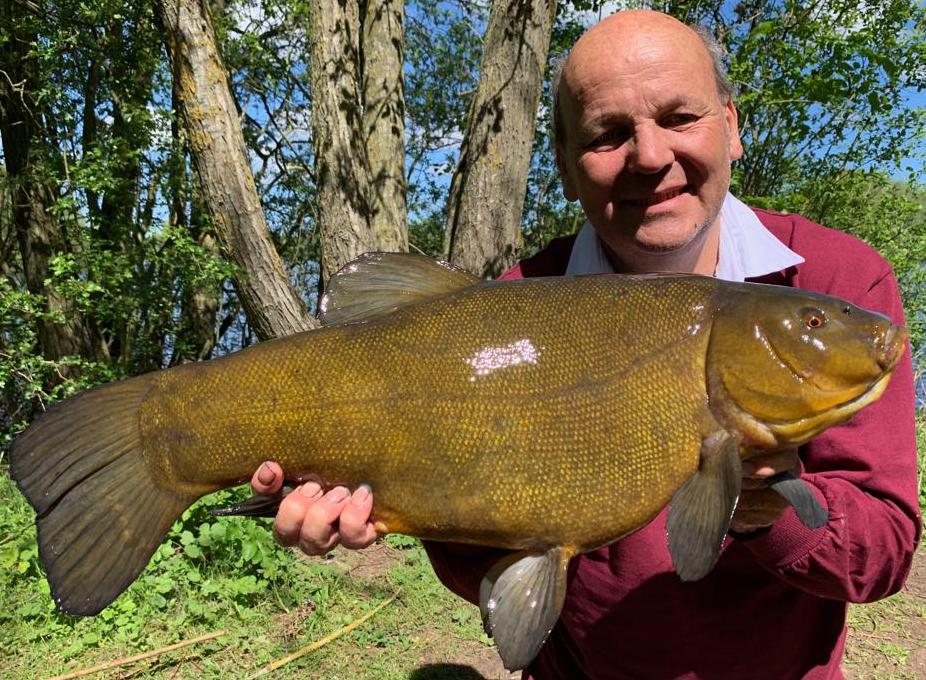 Tenchfishers Man Fears Maggot Nightmare After Huge Catch At Fish in tenchfishers-man-fears-maggot-nightmare-after-huge-catch-at-fish-in